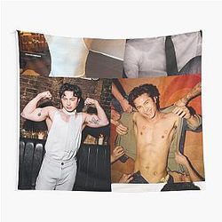 Hudson Williams Collage Abs Shirtless Asian Heartthrob Tapestry