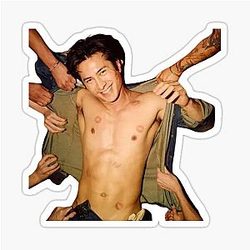 Hudson Williams Sticker