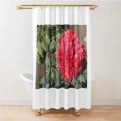 Hyacinth Bucket Shower Curtain