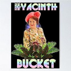 Hyacinth. The Bucket