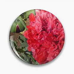 Hyacinth Bucket Pin