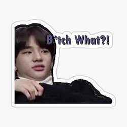 Hyunjin B*tch What Sticker