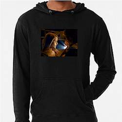 I Am Number Four was produced by Michael Bay I Am Number Four Hoodies