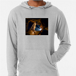 I Am Number Four was produced by Michael Bay I Am Number Four Hoodies
