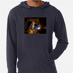 I Am Number Four was produced by Michael Bay I Am Number Four Hoodies