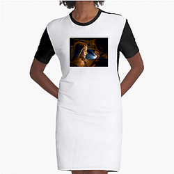 I Am Number Four was produced by Michael Bay I Am Number Four Dresses