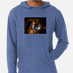 I Am Number Four was produced by Michael Bay I Am Number Four Hoodies