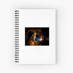 I Am Number Four was produced by Michael Bay I Am Number Four Notebook