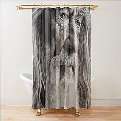 Sir Ian McKellen Curtain
