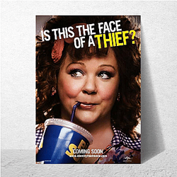 Identity Thief Merchandise Identity Thief Posters