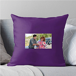 Identity Thief Special Collection Identity Thief Pillows Cover