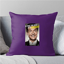 Identity Thief Fan Art Identity Thief Pillows Cover