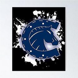 Art Indianapolis Colts Poster