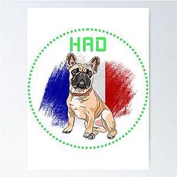Dogs of the F1 World Isack Hadjar France Poster