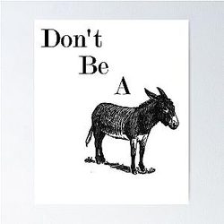Don't Be a Donkey Animal Shirt Poster