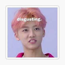Disgusted Jaemin Sticker