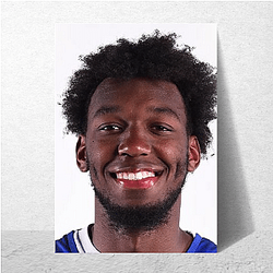 James Wiseman played college basketball for Memphis James Wiseman Posters