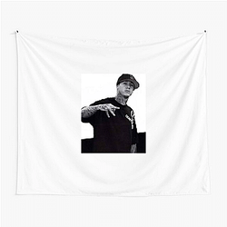 Jeremy Stenberg earned 17 X Games medals Jeremy Stenberg Tapestries