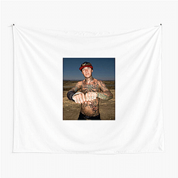 Jeremy Stenberg is a famous racer Jeremy Stenberg Tapestries