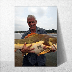 Jeremy Wade Special Collection Jeremy Wade Posters