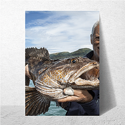 Jeremy Wade Merch Jeremy Wade Posters