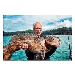 Jeremy Wade Limited Collection Jeremy Wade Posters
