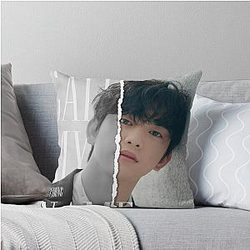 GOT7 Jinyoung Divided Photo Throw Pillow