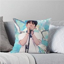 Bae Jinyoung Throw Pillow