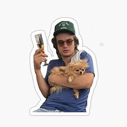 Joe Keery my Spirit Animal Sticker