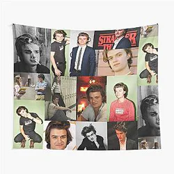 Joe Keery Tapestry