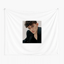 Hollywood Hunk Joe Locke Tapestries