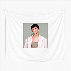 Screen Heartthrob Joe Locke Tapestries