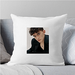 Hollywood Hunk Joe Locke Pillows Cover