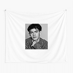 Versatile Actor Joe Locke Tapestries