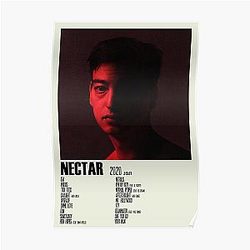 Joji Posters - Nectar Joji Album Cover Art Poster RB3006