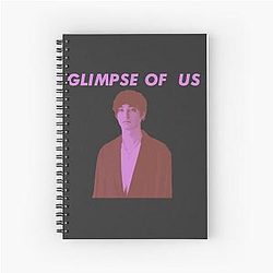 Joji Glimpse Us Spiral Notebook