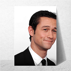 Action Star Joseph Gordon Levitt Posters