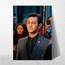 Academy Award Winner Joseph Gordon Levitt Posters