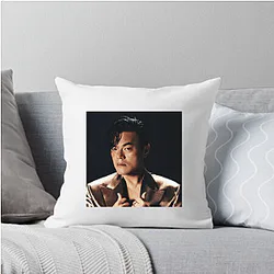 Jy Park Merch For Fans Jy Park Pillows Cover