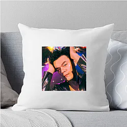 Jy Park Special Collection Jy Park Pillows Cover