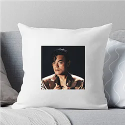Jy Park Merch For Fans Jy Park Pillows Cover
