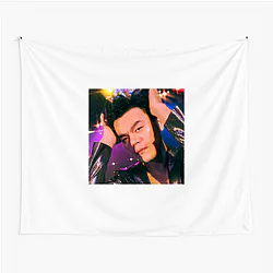 Jy Park Special Collection Jy Park Tapestries