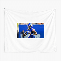 Kansas Jayhawks Limited Collection Kansas Jayhawks Tapestries