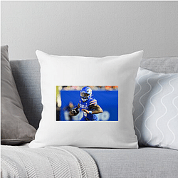 Kansas Jayhawks Limited Collection Kansas Jayhawks Pillows Cover