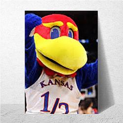 Kansas Jayhawks Special Collection Kansas Jayhawks Posters