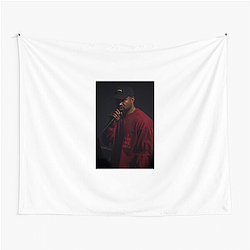 Kanye West often experiments with genre Kanye West Tapestries