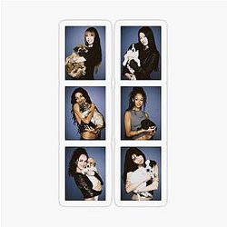Kats Eye Puppy Photocards Individual  Transparent Sticker