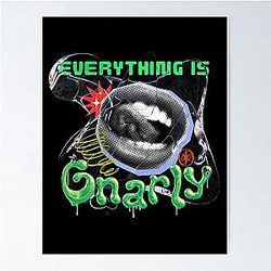 Katseye Everything is Gnarly Poster