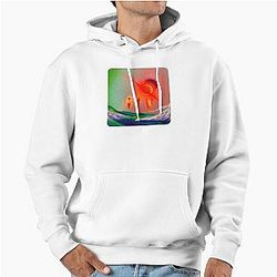 Donda Album Kanye West Pullover Hoodie
