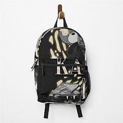 The College Dropout - Kanye West Album Backpack was removed and now is The College Dropout Album.